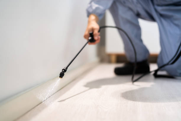 Bed Bug Pre-Treatment Preparation Assessment in Spring Arbor