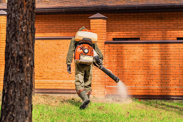 Bed Bug Clearance Verification and Documentation in Spring Arbor